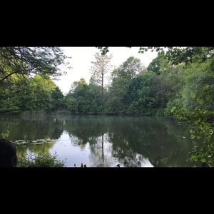 Meet your Posher, Jenny